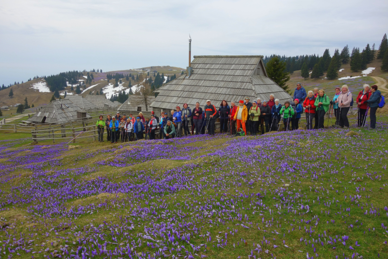 Ponedeljkovci na Veliki Planini